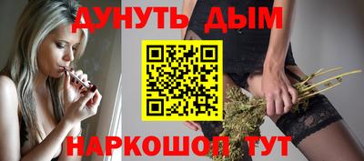 spice Новодвинск