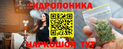 spice Новодвинск