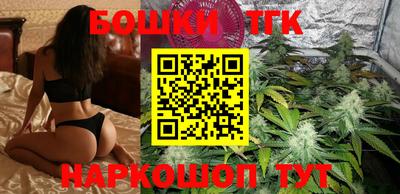 индика Новозыбков