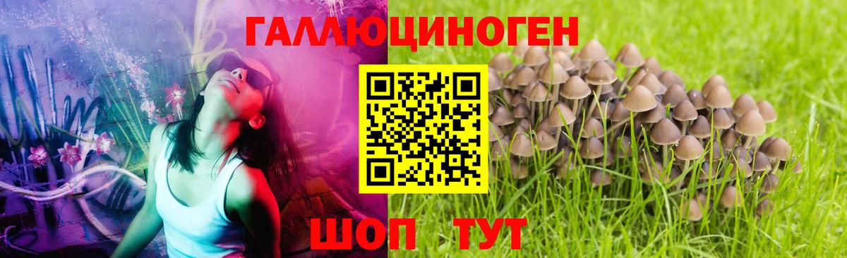 Сорочинск  Галлюциногенные грибы MAGIC MUSHROOMS  Галлюциногенные грибы Psilocybe  где купить наркотик  Вход с VPN 