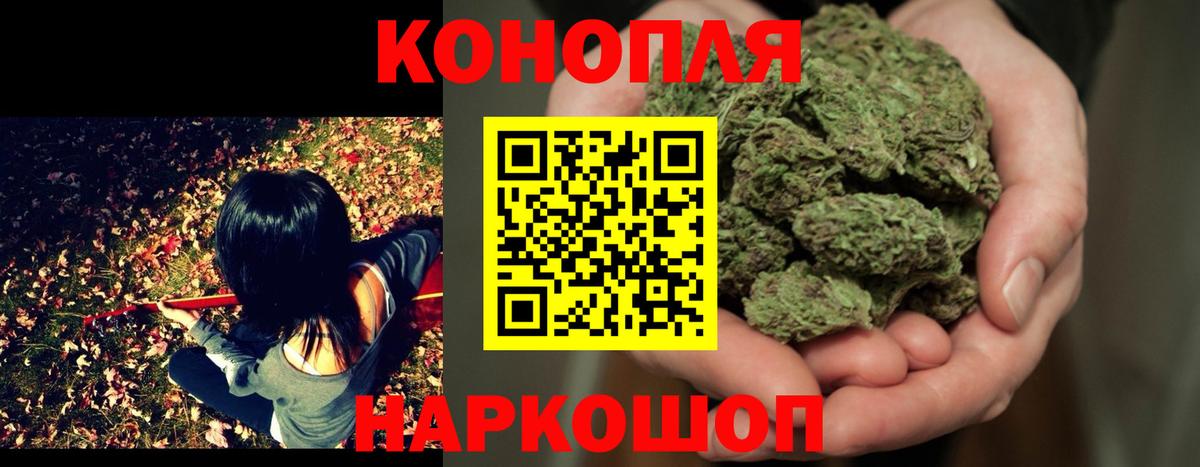 Марихуана конопля Сорочинск